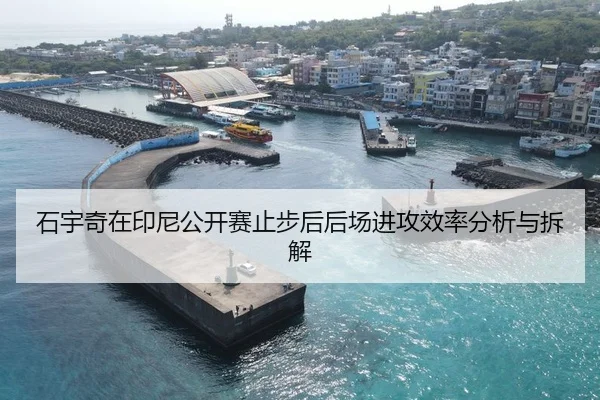 石宇奇在印尼公开赛止步后后场进攻效率分析与拆解