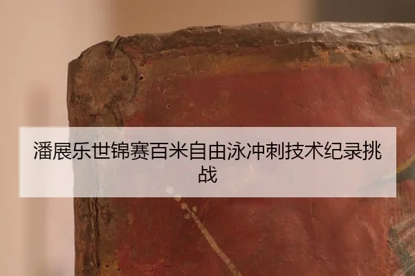 pan-zhan-le-shi-jin-sai-bai-mi-zi-you-yong-chong-ci-ji-shu-ji-lu-tiao-zhan-3-363.jpg